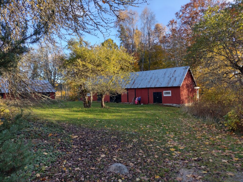 barn on yard