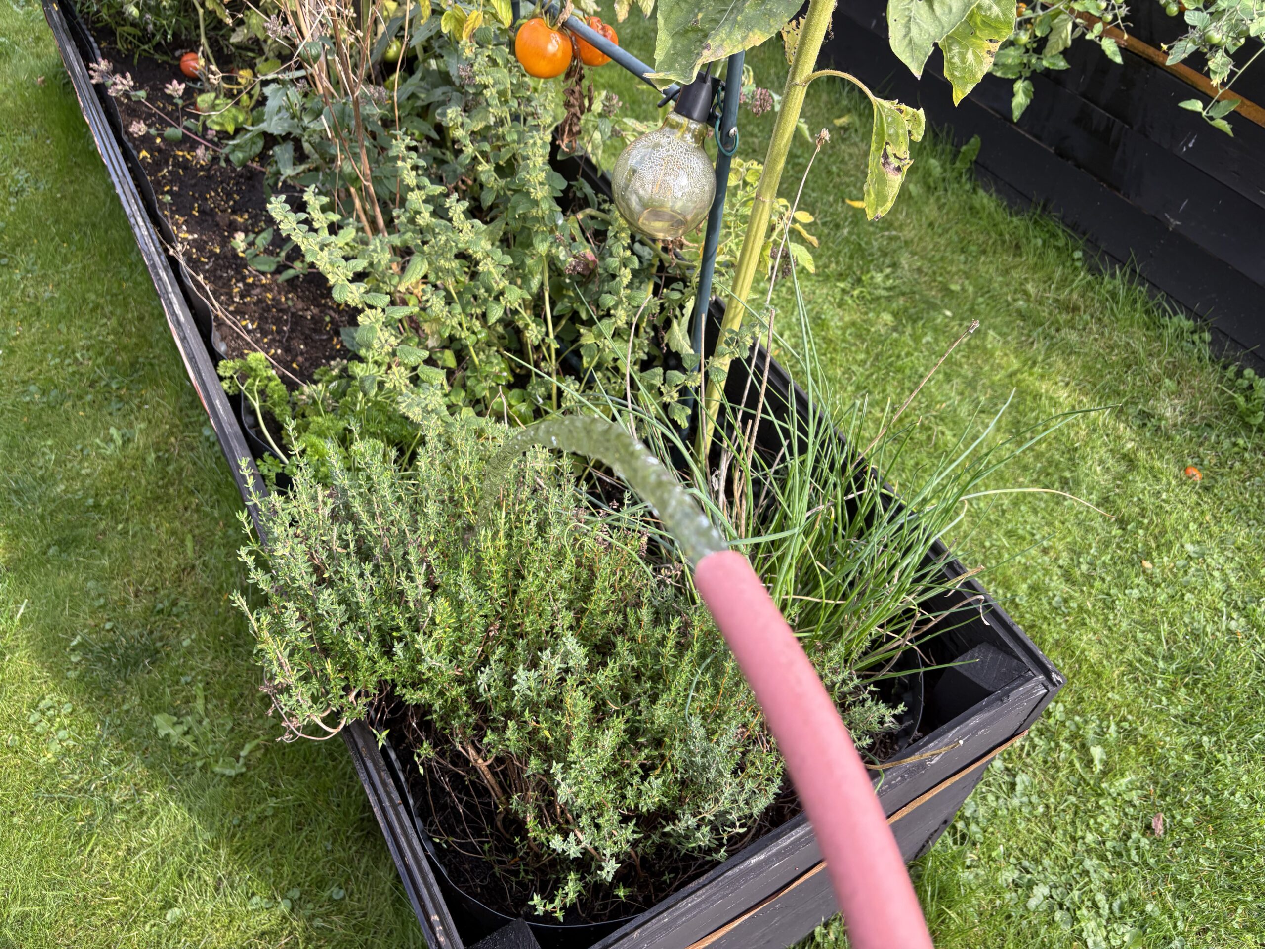 Gallery Detail: Build A Portable 12V Water Pump For Rainwater Collection Off